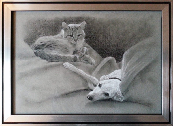 Cat with Italian Greyhound in charcoal