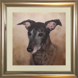Greyhound in coloured pencil