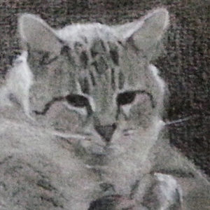 Charcoal