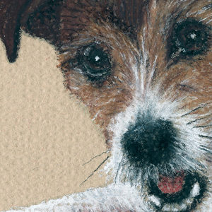 Coloured Charcoal